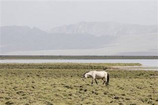 Kyrgyzstan weather forecast