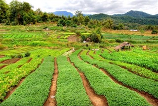 Laos weather forecast