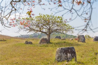 Laos weather forecast