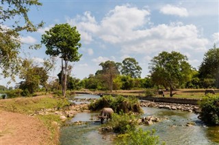 Laos weather forecast