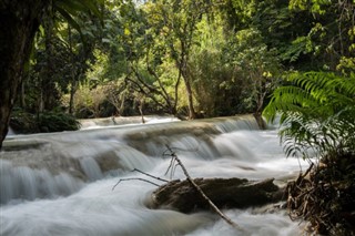 Laos weather forecast