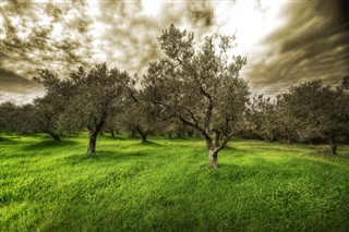 Lebanon weather forecast