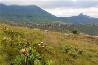 Lesotho weather forecast