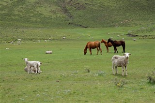 Lesotho weather forecast