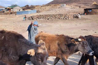 Lesotho weather forecast