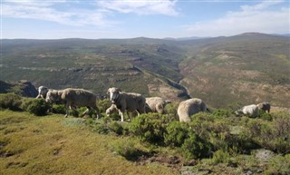 Lesotho weather forecast