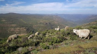 Lesotho weather forecast