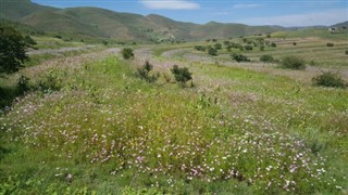 Lesotho weather forecast