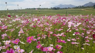 Lesotho weather forecast