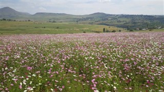 Lesotho weather forecast