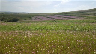 Lesotho weather forecast