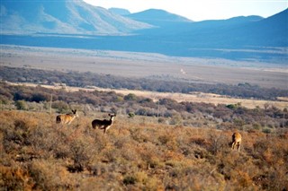 Lesotho weersvoorspelling