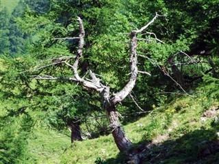 Liechtenstein weather forecast