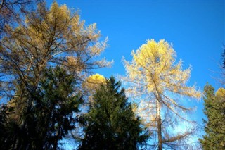 Liechtenstein weather forecast