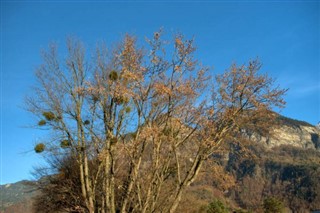 Liechtenstein weather forecast