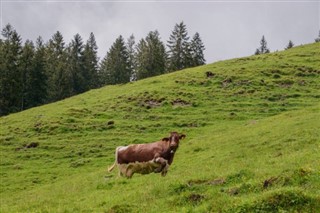 Liechtenstein weather forecast