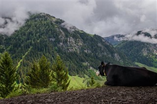 Liechtenstein weather forecast