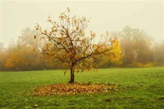 Lithuania weather forecast