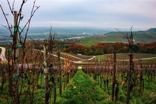 Luxembourg weather forecast