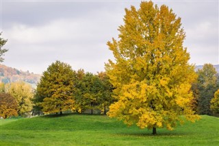 Luxembourg weather forecast