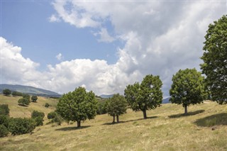 Macedonia weather forecast