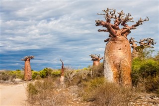 Madagascar weather forecast