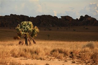 Madagaskar vremenska prognoza