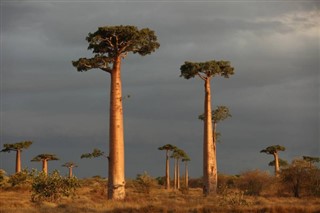 Madagascar weather forecast