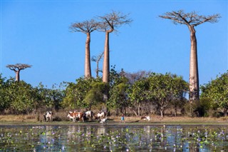 Madagascar weather forecast