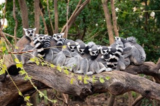 Madagascar weather forecast