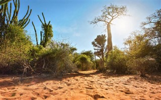 Madagascar weather forecast