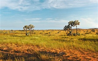 Madagascar weather forecast