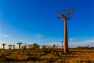 Madagascar weather forecast