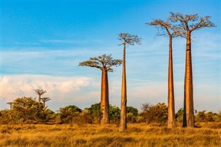 Madagaskar prognoza pogody