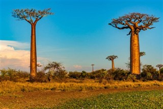 Madagascar weather forecast