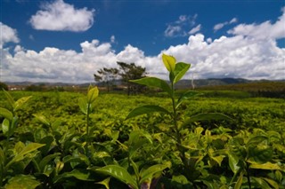 Madagascar weather forecast