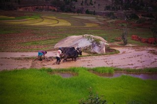 Madagascar weather forecast