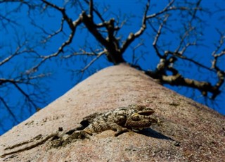 Madagaskar prognoza pogody