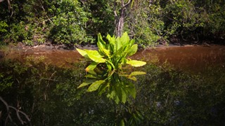 Madagaskar prognoza pogody