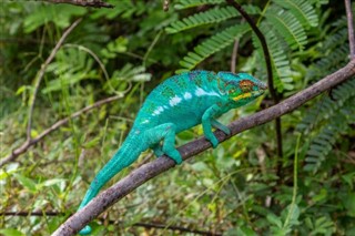 Madagaskar prognoza pogody