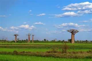 Madagascar weather forecast