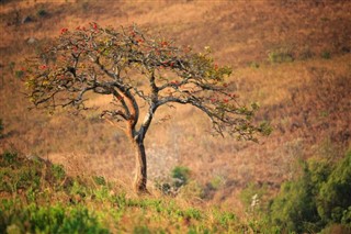 Malawi weather forecast