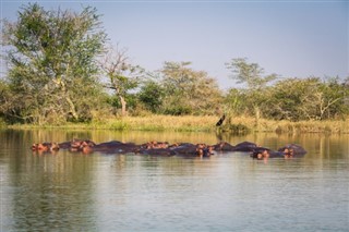 Malawi prognoza pogody