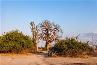 Malawi weather forecast