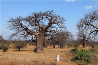 Malawi weather forecast