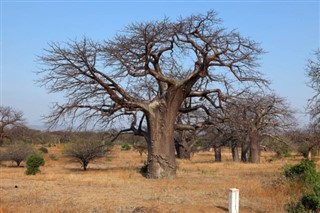 Malawi weather forecast