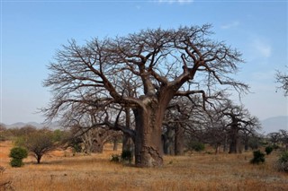 Malawi weather forecast