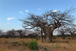 Malawi weather forecast