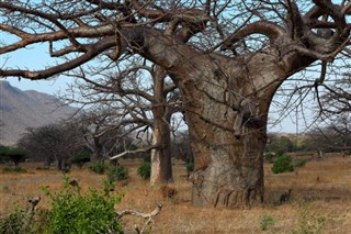 Malawi weather forecast