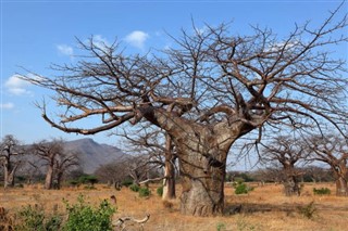 Malawi prognoza pogody